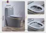 توالت فرنگی لوکس طوسی طلایی مدل RY_2212 - Image 2