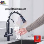 ‌‌‌‌‌شیر ظرفشویی لوکس فنری دومنظوره ROZIN